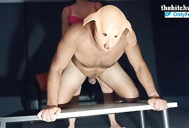 Fucking my ass pig with cable tied pig nuts